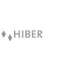 Hibernate